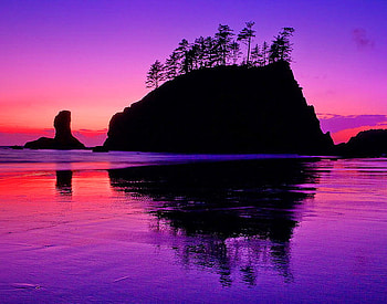 Island for two, blue, island, coral, trees, sky, calm, reflections, ocean HD wallpaper