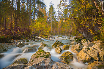 Nature, Rivers, Trees, Stones, Branches, Flow, Stream HD wallpaper