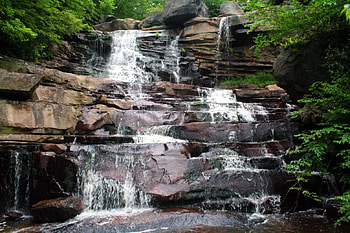 Water Falls, plants, water, fall HD wallpaper