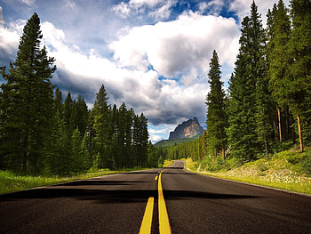 Beautiful Route to Castle, sunny, route, clouds, trees, view, road, nature, sky, castle, clear HD wallpaper