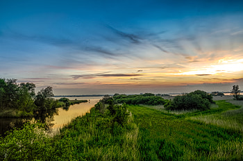 Nature, Rivers, Grass, Bush, Horizon HD wallpaper