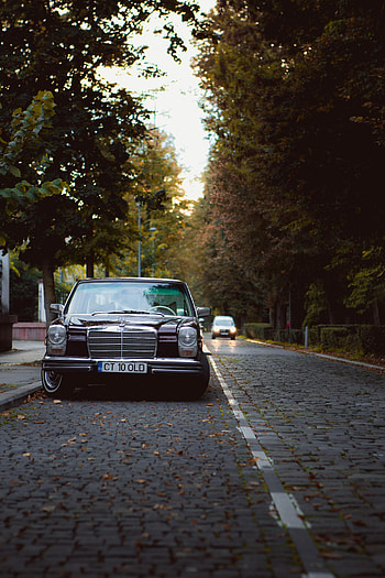 Cars, Road, Car, Old, Mercedes HD phone wallpaper
