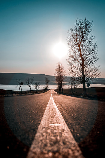 Nature, Trees, Sunset, Sky, Road, Direction HD phone wallpaper
