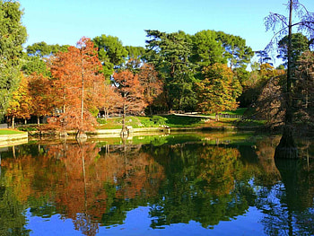 Autumn lake, season, autumn, forest, lake, tree HD wallpaper
