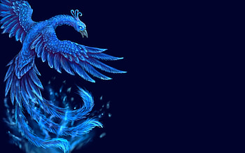 Blue Phoenix . HD wallpaper