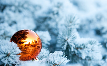 Winter, blue, holidays, graphy, fir, happy holidays, beauty, xmas, holiday, reflection, snow, sparkle, shine, christmas decoration, winter time, magic christmas, new year, merry christmas, magic, feliz navidad, spruce, beautiful, happy new year, decoration, pine, pretty, christmas, decorations, nature, lovely HD wallpaper