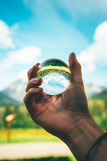Trees, Reflection, Hand, Miscellanea, Miscellaneous, Ball HD phone wallpaper