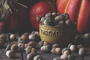 Acorns, Miscellanea, Miscellaneous, Brown, Bowl, Fruit HD wallpaper