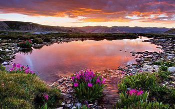 Wildflowers at Mountain Lake, colors, clouds, sky, sunset, flowers HD wallpaper