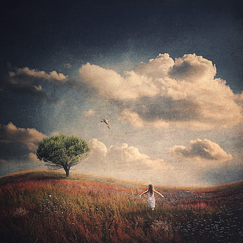 Secret Place, Albulena Panduri HD phone wallpaper
