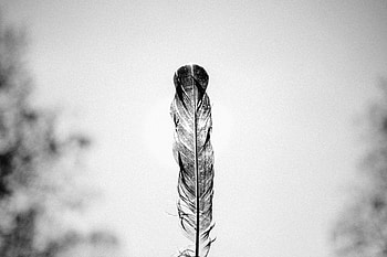 Feather, Minimalism, Bw, Chb, Pen HD wallpaper