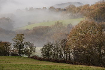 Landscape, Nature, Trees, Fog, Hills, Lawn HD wallpaper