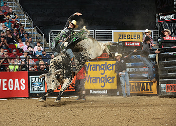 J.B. Mauney, Bullriding HD wallpaper