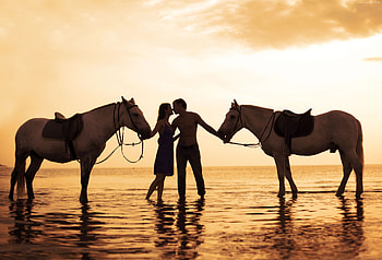 Couple With Horses On Beach , couple, kiss, horse, beach HD wallpaper