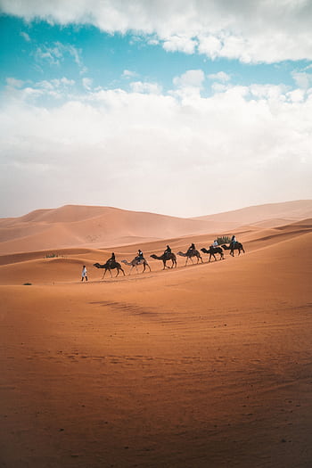 A camel caravan traverses the vast sand dunes of Al Wahat Al Dakhla Desert under a blue sky. HD phone wallpaper