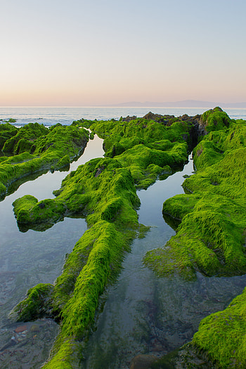 Nature, Sky, Sea, Rocks, Horizon, Moss HD phone wallpaper