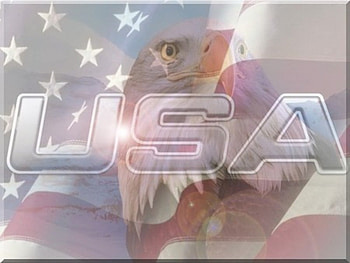 USA-Eagle, birds, flag, eagle, usa HD wallpaper