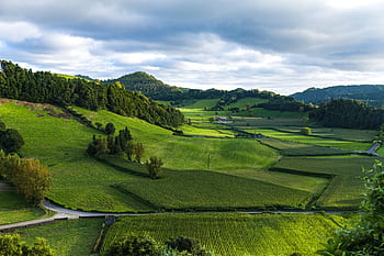 Scenic view of vibrant green farmland and rolling hills under a cloudy sky, perfect for nature and agriculture themes. HD wallpaper