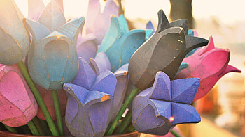 Flowers, Miscellanea, Miscellaneous, Wood, Wooden, Multicolored, Motley HD wallpaper