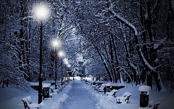 country christmas - www.-in-.com HD wallpaper