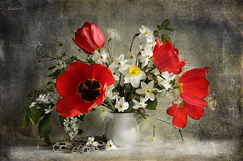 still life, bouquet, tulip, graphy, kettle, lace, spring, tulips, beauty, nice, flower, , daffodil, daffodils, elegantly, beautiful, old, pretty, cool, flowers, lovely, harmony HD wallpaper