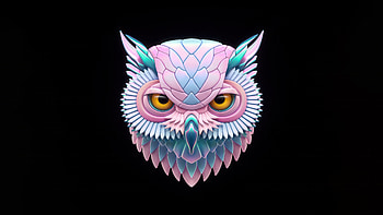 Owl Minimalism , owl, minimalism, minimalist, artist, artwork, digital-art, dark, black HD wallpaper
