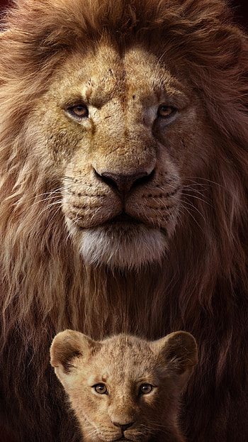 The Lion King (2022) movie HD phone wallpaper