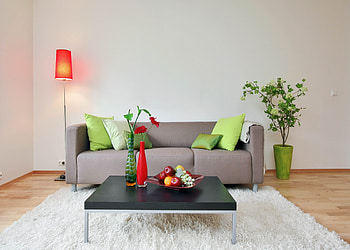 Fruits, Flowers, Miscellanea, Miscellaneous, Table, Living Room, Carpet HD wallpaper
