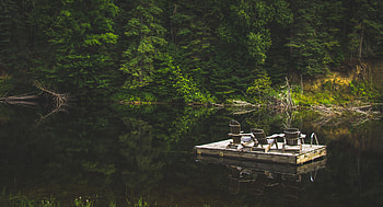 Nature, Rivers, Trees, Relaxation, Rest, Raft HD wallpaper