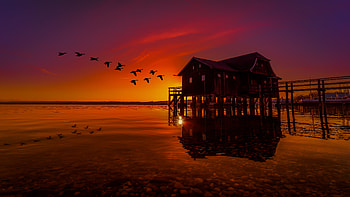 Lake House On Pier Birds Flying Sunset Scenery, lake, house, nature, pier, birds, sunset HD wallpaper