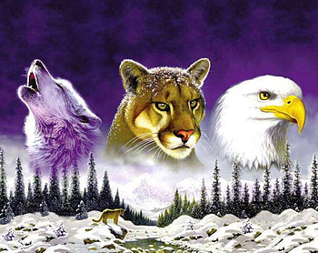 Warrior souls, animal, eagle, puma, wolf, wild HD wallpaper