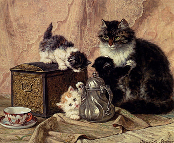 kittens, teapot and teacup, teacup, painted, animals, cats, kittens HD wallpaper