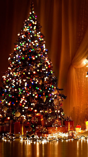 Christmas, Christmas, Tree, Christmas Tree HD phone wallpaper