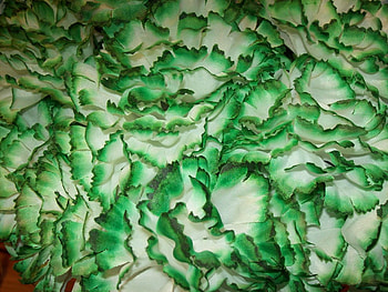 Carnations, white, flowers, green HD wallpaper