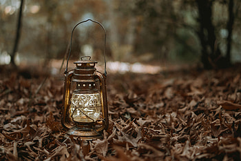 Shine, Light, Miscellanea, Miscellaneous, Lamp, Lantern, Glow, Garland HD wallpaper