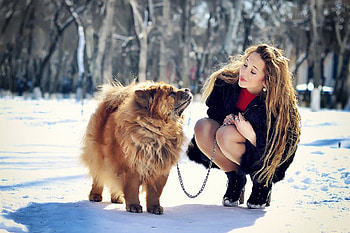 Beautiful women - beautiful dog, pay, dogs, cute, puppies, beauty, dog face, animals, sweet, beautiful, playful, playful dog, puppy, pretty, face, women, lovely, bubbles HD wallpaper
