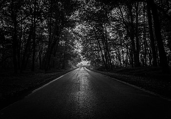 Trees, Dark, Road, Forest, Bw, Chb HD wallpaper