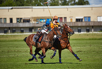 Polo Club Landsberg Ammersee, Polo excellence, Bavarian sports club HD wallpaper