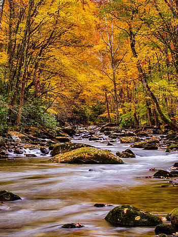 Smoky Mountain National Park, Mobile , quality, Scenic beauty HD phone wallpaper