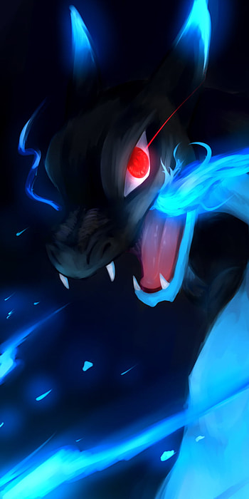 Charizard Evolution X, Charizard (Pokémon), Anime, Pokemon HD phone wallpaper