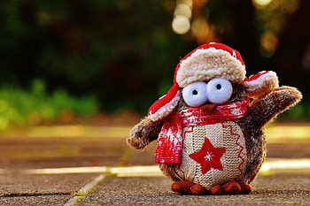 Owl, Miscellanea, Miscellaneous, Blur, Smooth, Toy, Clothing HD wallpaper