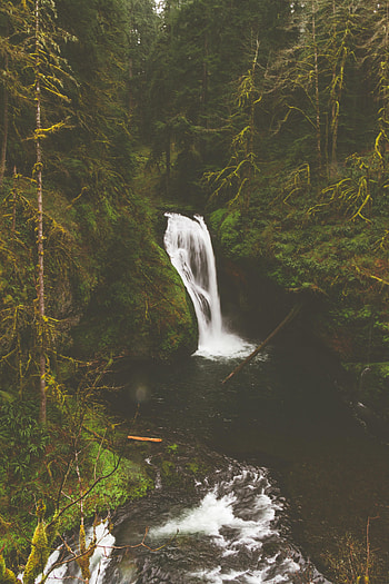 Nature, Stones, Rocks, Waterfall, Branches, Flow, Moss, Stream HD phone wallpaper