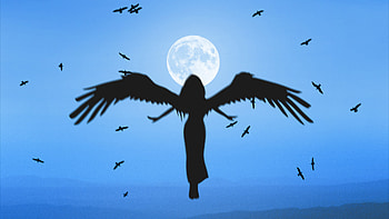 Angel Silhouette , angel, silhouette, artist, artwork, digital-art HD wallpaper