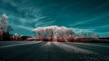 Waterhall park, Milton Keynes, England, clouds, trees, sky, road, landscape HD wallpaper