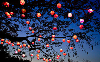 Simply Beautiful, night, lanterns, candle, light, sky, nature, splendor, tree HD wallpaper
