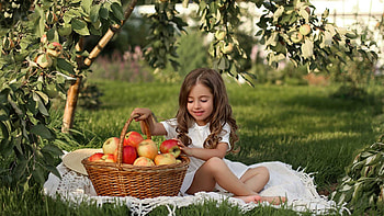 Cute Little Smiling Girl Is Sitting On White Cloth With Apple Wicker Basket Wearing White Dress Cute HD wallpaper