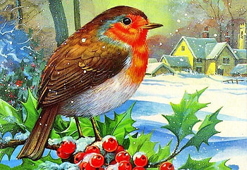 Christmas bird, winter, painting, bird, art, snow, christmas HD wallpaper