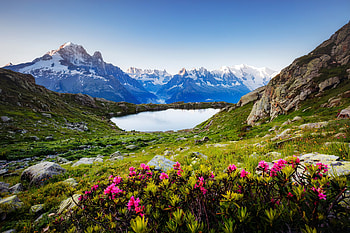 Mountain paradise, hills, France, beautiful, grass, lake, mountain, wildflowers, view, resort HD wallpaper