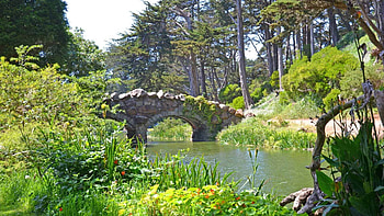 Golden Gate Park, Things to do, San Francisco, Awesome HD wallpaper