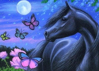 Moonlight Black Horse, love four seasons, horses, black, animals, draw and paint, butterfly designs, paintings, moons HD wallpaper